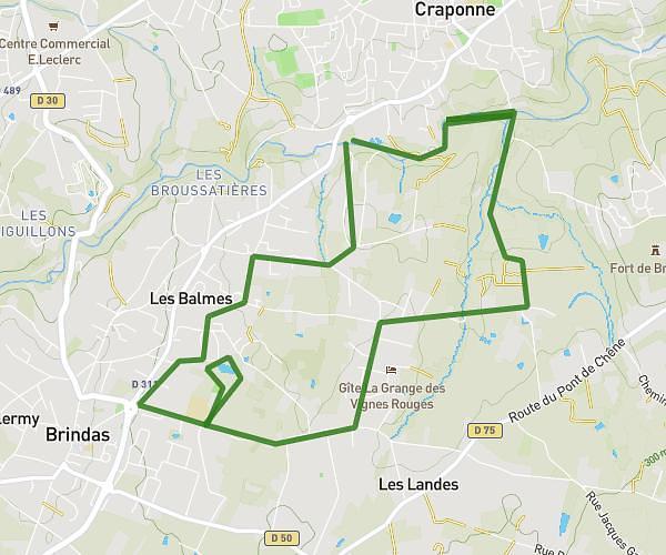 10km Brindas