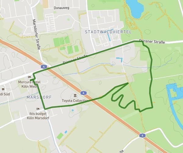 6.5K Energiewald