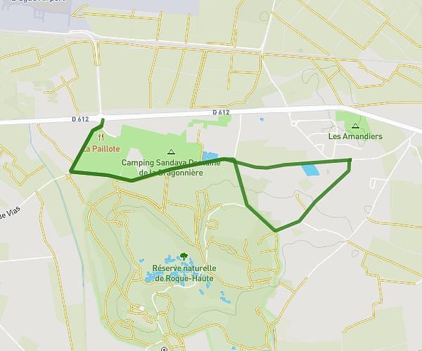 Run des 5ans