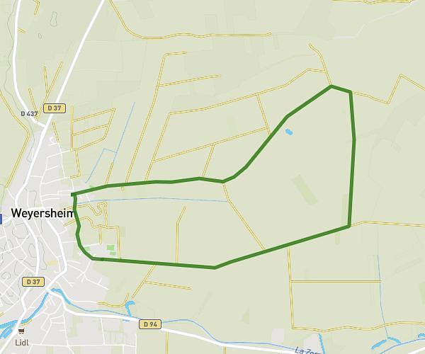 Weyersheim 6km