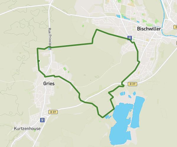 Bischwiller graviere