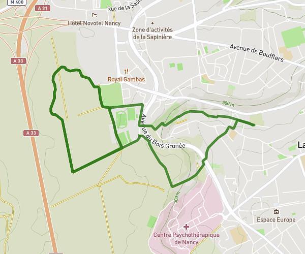 Laxou jog