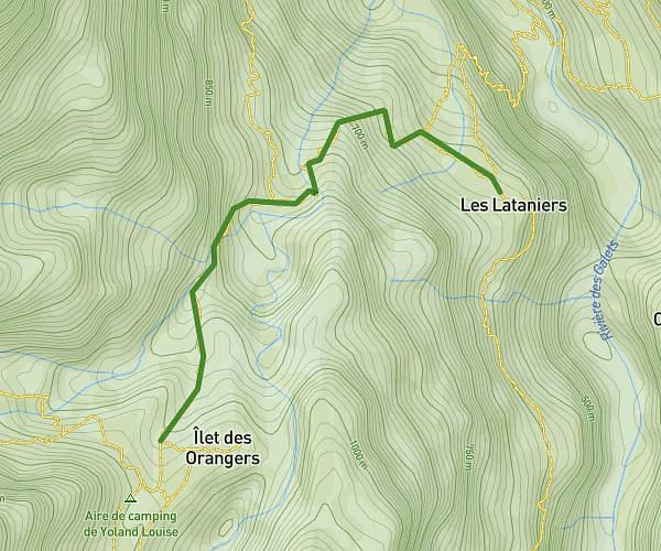 De lataniers à les orangers