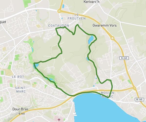 Course du 11/10/2025
