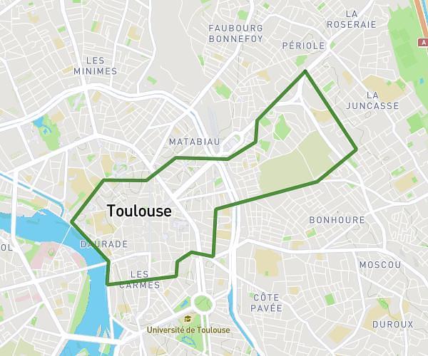 Toulouse1