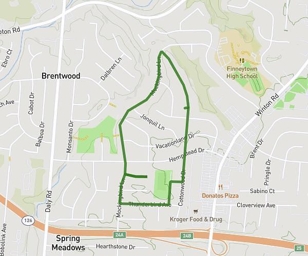 Mockingbird w/ Redbird