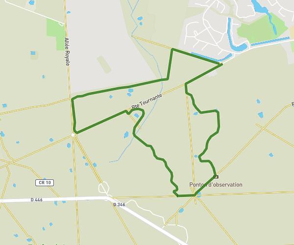 foret de Rougeau 5km