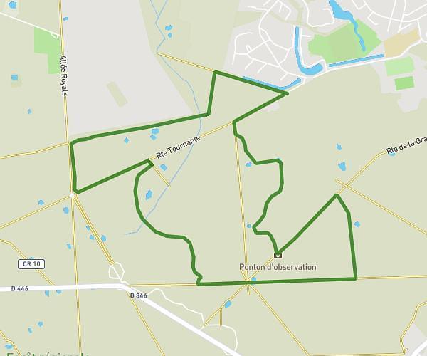 foret de Rougeau 6,5km