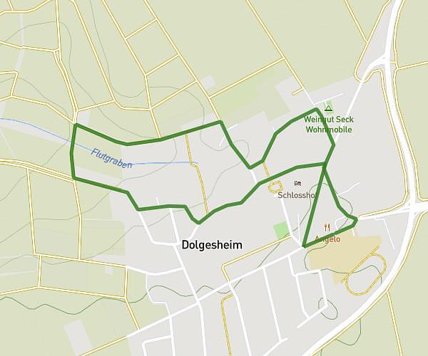 Neujahrslauf Schülerlauf