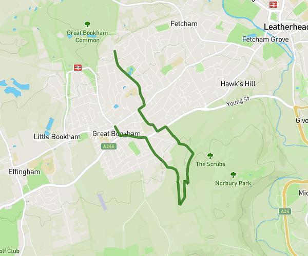 New Years Day Crown walk