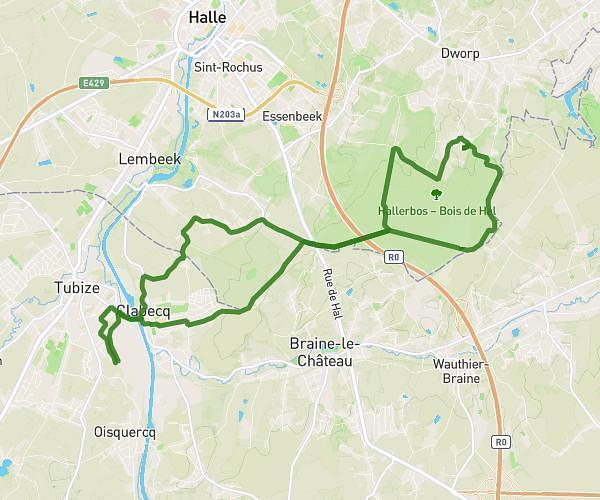 Hallerbos