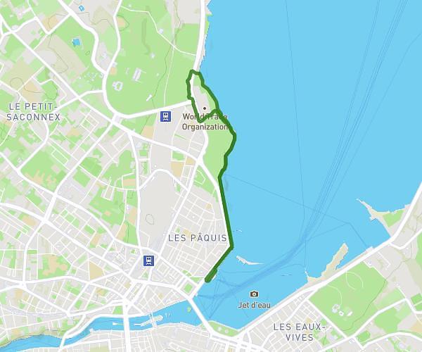 Lake of Geneva goal