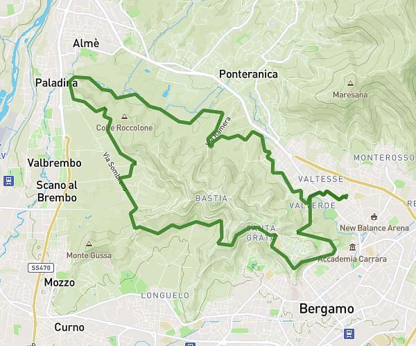 Anello Colli Bergamo var. Astino