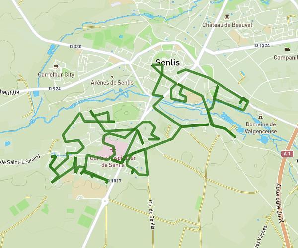 senlis1