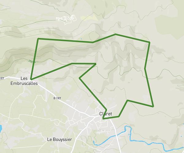 DEMI CRETE  TAILLADE CLARET