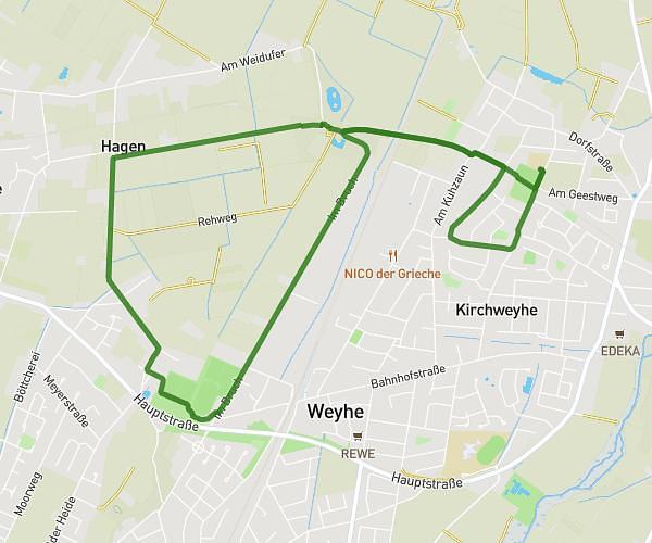 Laufen_2026_02_10_8km