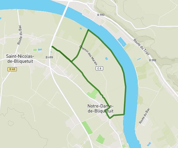 Pont de Brotonne/ Arelaune