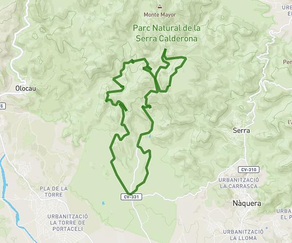 SALIDA PRUEBA FEB 2026 CHEMI