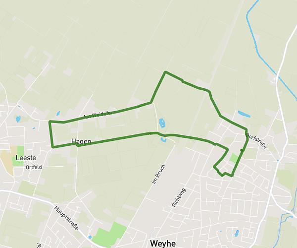 laufen_2026_03_03_7km