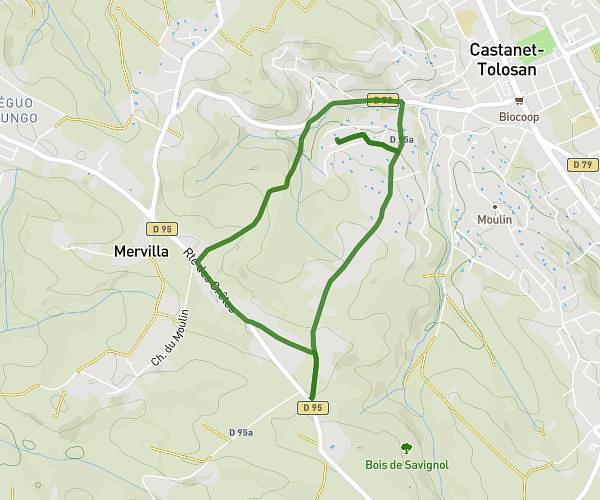 5km Castanet-Tolosan