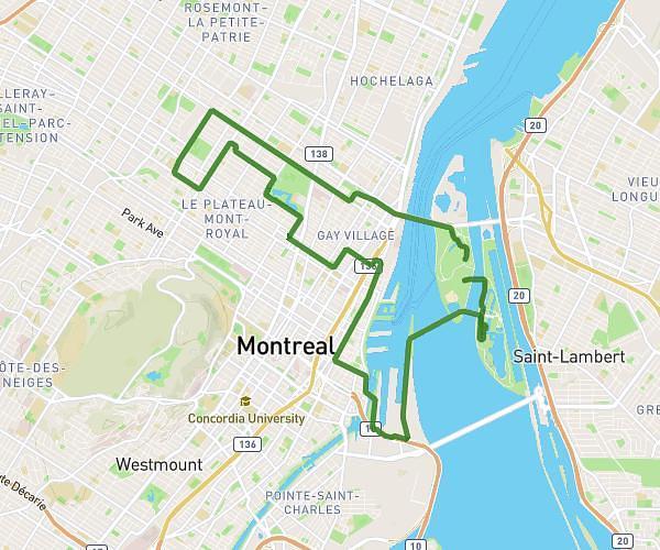 Semi-marathon
