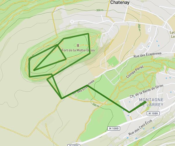 Course avec toto et les chiens 29/03