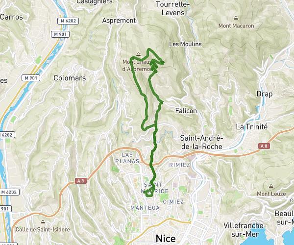 Home-mont chauve