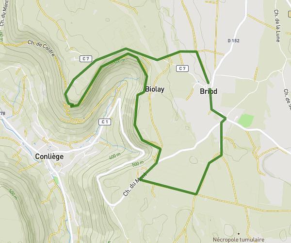 Briod guillotine facteur