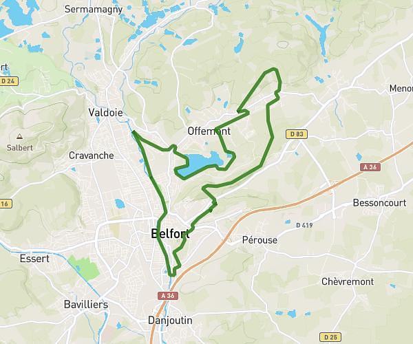 Sortie longue 20 km - 350 D+