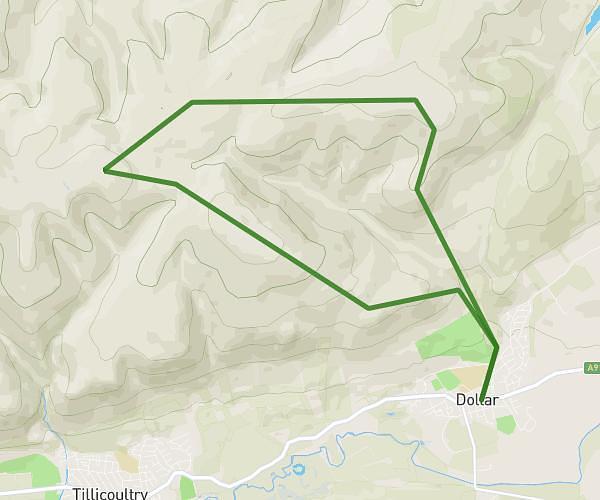 Big Loop from Dollar