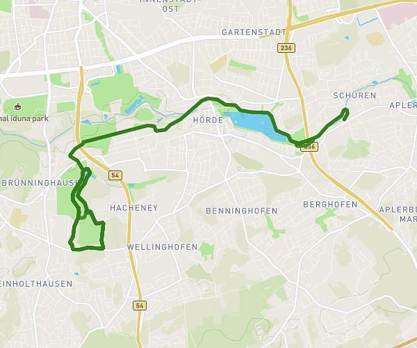 Marathon 6,5 Runden Rombergpark + 0,1 Phönixsee