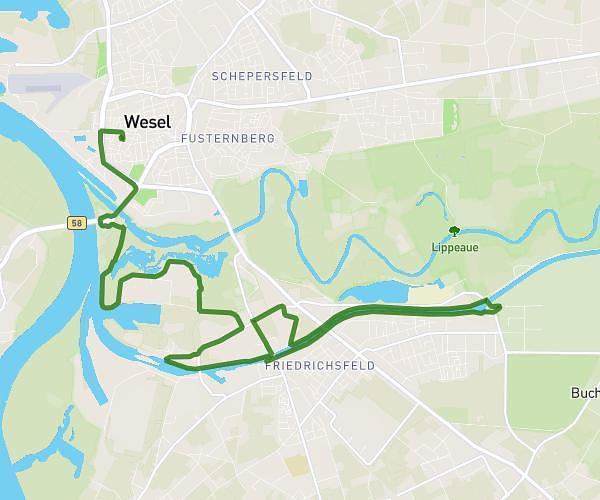Weselfit