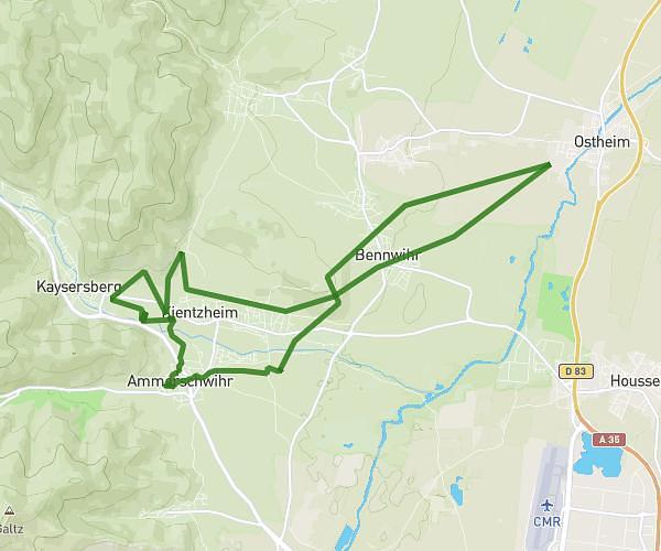 1ere sortie prepa 10km