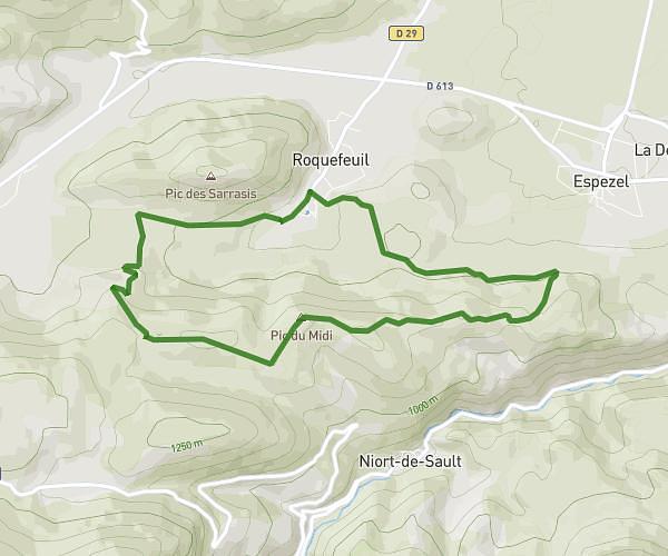 Roquefeuil, Pic du midi