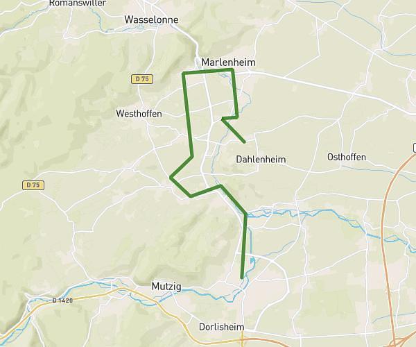 Semi-Marathon