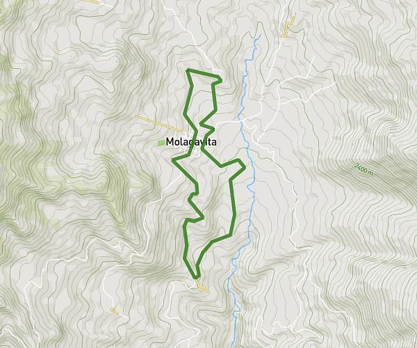 Trail Runnig Molagavita 2026 Elite 8k