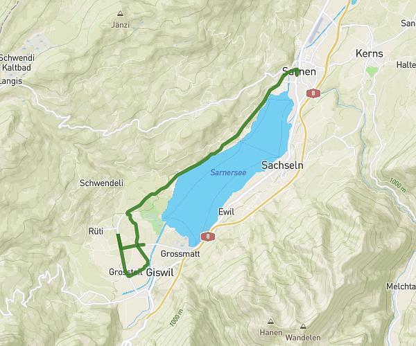 Training Sarnersee-Lauf 13km