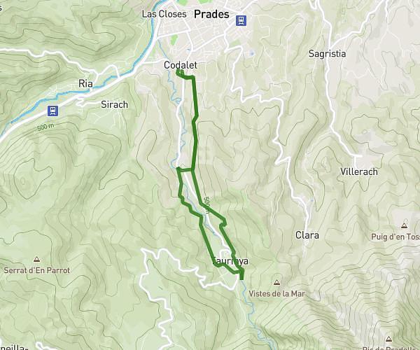 codalet à Taurinya