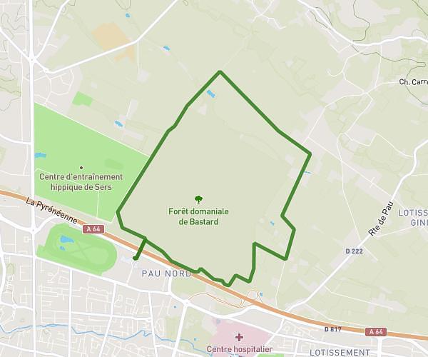 Bois de Pau