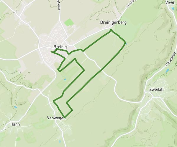 Breinig Läuft 10k