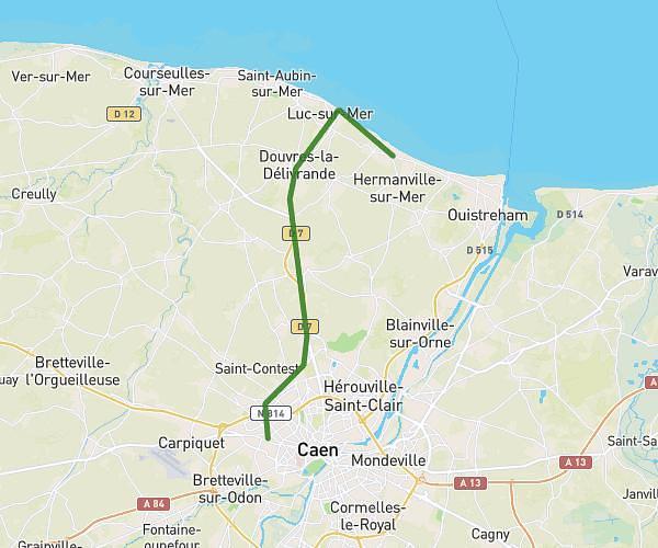 Vélo lion sur mer
