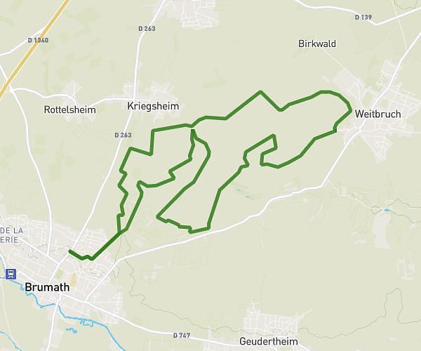 Trail de Brumath - Kriegsheim - Weitbruch - Brumath