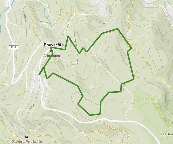 blaireau