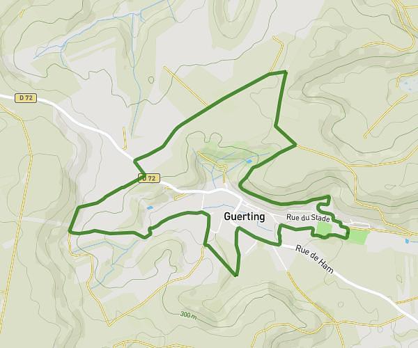 Marche Guerting en fête