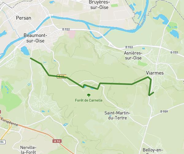 P'tit rando foret de Carnelle