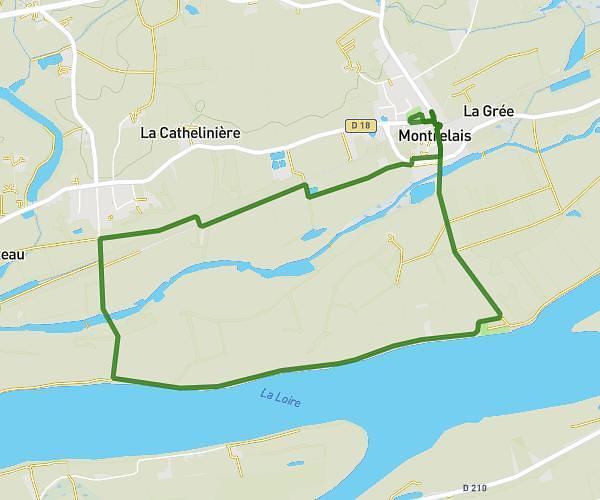 Montrelais en couleur / course adulte 6.5kms