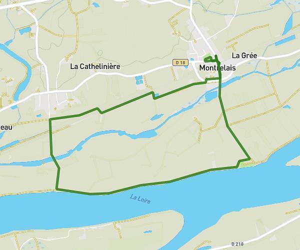 Course adulte montrelais couleurs