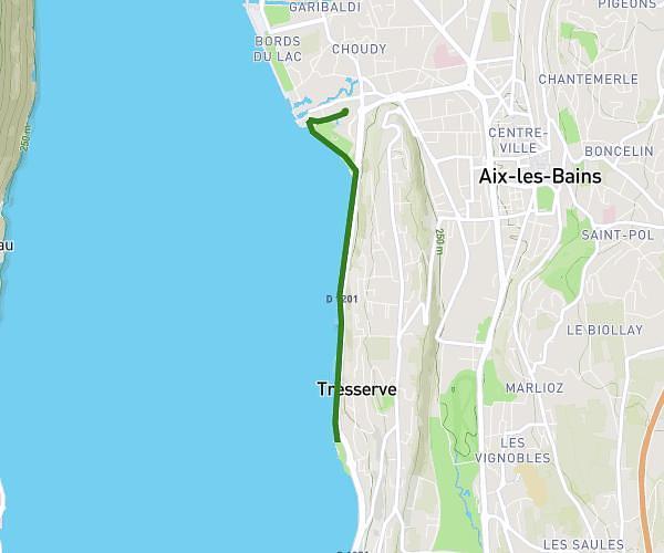 Course avec maman et mes chiens