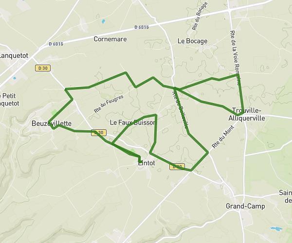 17 km