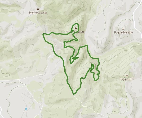 trail-loop-basecamp